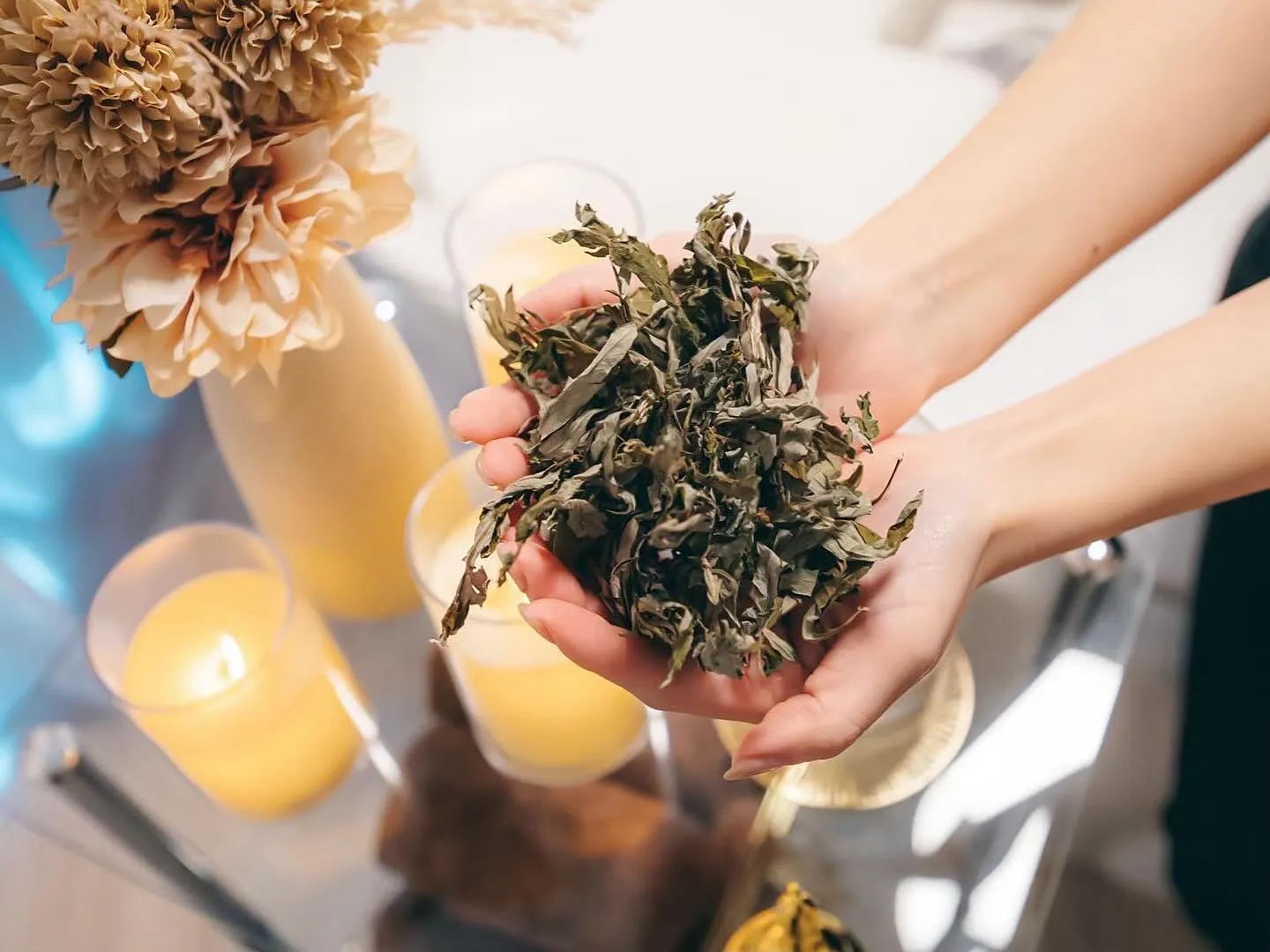 🌿🕯️ちょっとひと息、癒し時間🕯️🌿